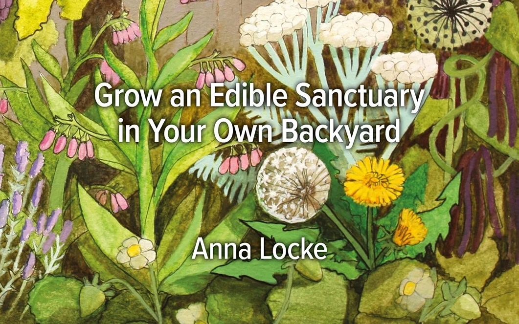 Author Talk: Practical advice for urban gardeners with Anna Locke